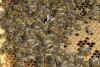 b4.JPG (657941 bytes)