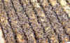b5.JPG (630149 bytes)